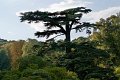 0075Arboretum Vallee aux loups